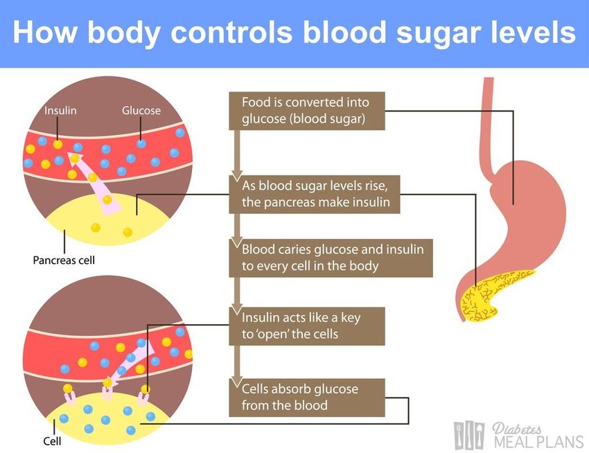 Carb counting lesson #1: How to lower blood sugar naturally through diet