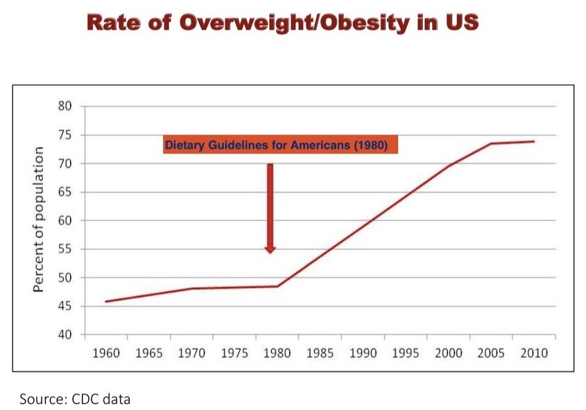 Nutrition Coalition suggests dietary guidelines made Americans fat