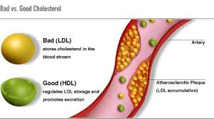 Cholesterol-lowering ‘portfolio diet’ also reduces blood pressure, study finds